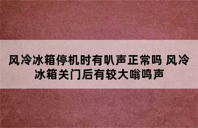 风冷冰箱停机时有叭声正常吗 风冷冰箱关门后有较大嗡鸣声